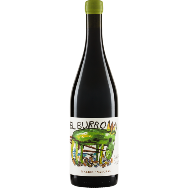 Santa Julia El Burro Malbec laat zich kennen als een volle en levendige rode wijn met een frisse energie die meteen aanspreekt. Donkere bessen en kersen geven een fruitige basis, terwijl subtiele kruidigheid zorgt voor spanning in het glas. Er zit een lichte aardse toon onder die de wijn diepte geeft en het geheel stevig maar toch soepel maakt. Een biologische Malbec die jong gedronken al veel plezier geeft en tegelijk rond en zacht blijft. Bij elke slok komen rijpe tonen naar voren die het glas intens maar toch toegankelijk houden. De wijn heeft kracht zonder zwaar te worden, waardoor hij zich gemakkelijk laat combineren aan tafel. Het donkere fruit wordt ondersteund door een vleugje kruidigheid en milde tannines die niet overheersen. Hierdoor voelt hij stoer en elegant tegelijk, een wijn die uitnodigt om nog een glas in te schenken.