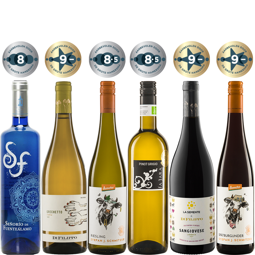 Wijnpakket Hamersma – Zes biologische wijnen met minimaal een 8 van De Grote Hamersma